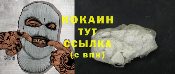 бошки Богородицк