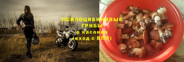 мескалин Богданович